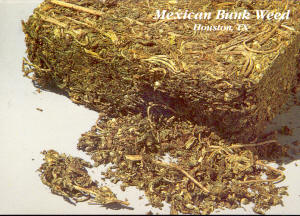 Bunk