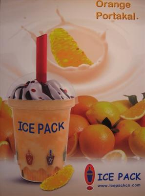 Ice Pack