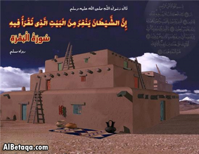لبيك ربي