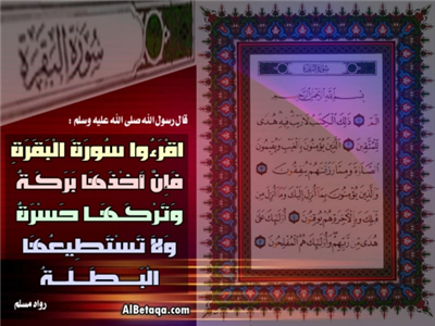 لبيك ربي