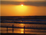 The Sun
