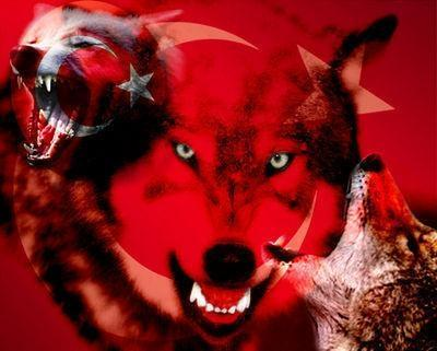 Türk Lük Kanın Ne Kadar ?