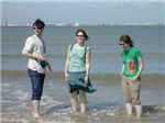 Tous Dans La Mer !