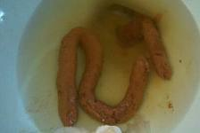 Human Crap