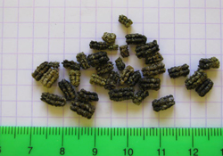Caterpillar Crap