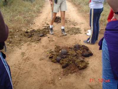 Rhino Crap