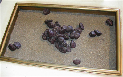 Giraffe Crap