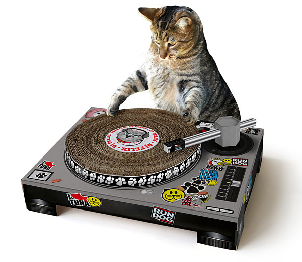 Dj Cat