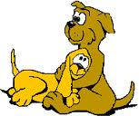 chiot calin