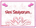 Sevgi Gönder