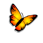 Testr