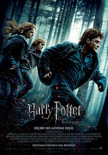 Hangi Harry Potter Karakterisin