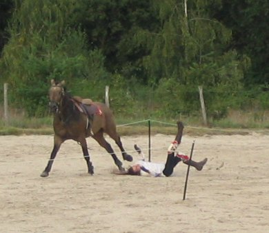 Quelle Niveaux A Tu As Cheval 