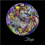 Gifts From The Chrysalis Project