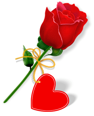 rose with a heart