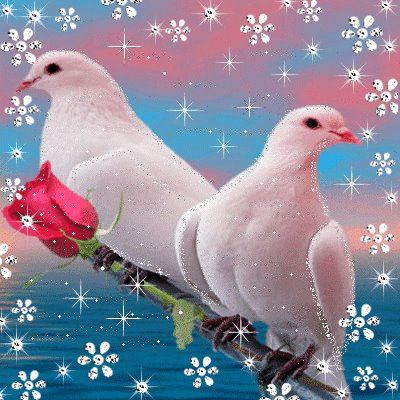 Little doves