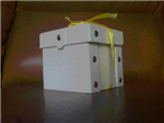 Special Gift 