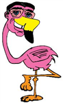 Flamingoflocking