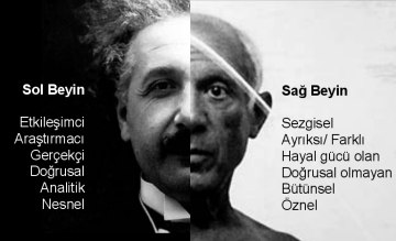 Beyninizin Hangi Tarafını Daha Çok Kullanıyorsunuz