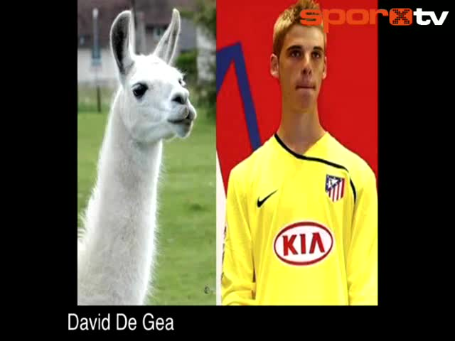 Hangi Futbolcuya Benziyosun
