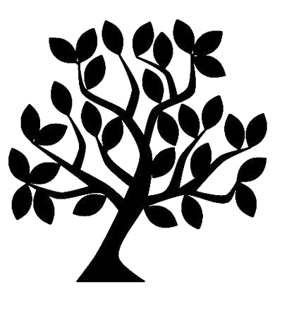 ¿Qué Árbol Mexicano Eres?