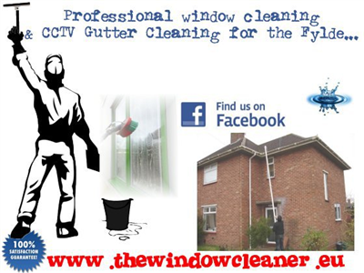 The Window Cleaner