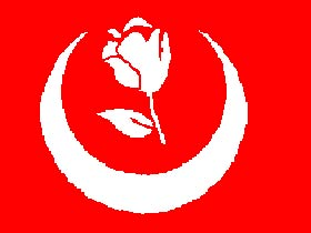 BÜYÜK BİRLİK PARTİSİ