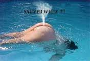 Pet de baleine