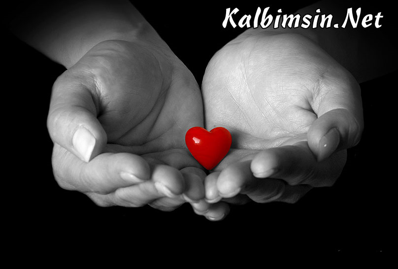 Yüreğinizin Adı Ne