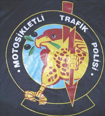 Nasıl Bir Şahinsin?