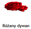 Różany dywan