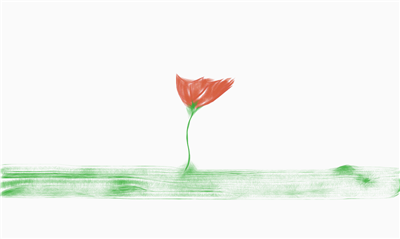 a red rose