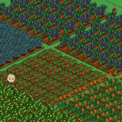 Você É Um Fanático Por Farm Ville