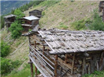 Bahçe