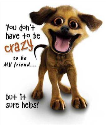 Crazy Or Not?!