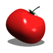 Tomate