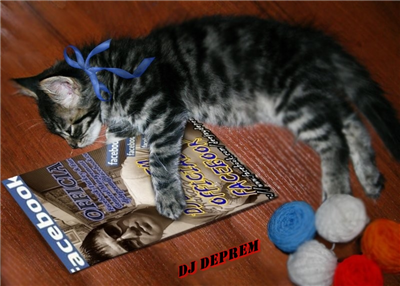 Dj Deprem 4