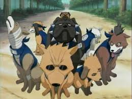 pets
