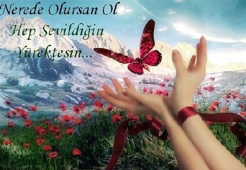 Canım Arkadaşım