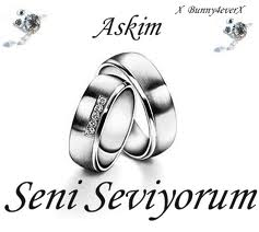 Seni Seviyorum