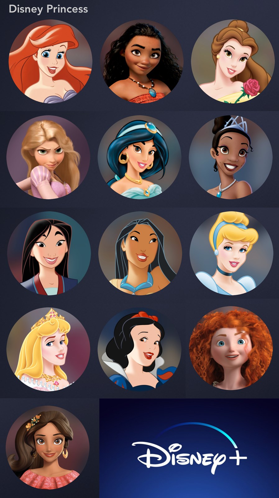 Putri Disney 