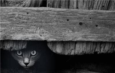 Bruno Foto!