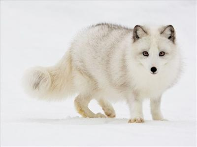 Коя Е Твоята Любов За Днешния Ден?