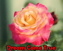 Dream Comes True