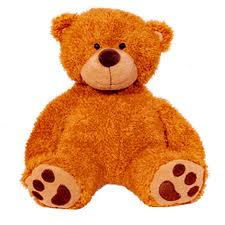 Teddy Bear