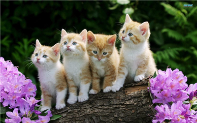 GÜNAYDIN... HAYIRLI GÜNLER ♥.. ─▀██▀.(¯`••´¯)★HAYATINIZDAN MUTLULUK ──██❤.* •.¸.• ─▄██▄▄█.(¯`••´¯)★O GÜZEL YÜREĞİNİZDEN ───────❤•. ¸.•´•.¸¸.•*`*•★ ──▄███▄─────•❤•.¸¸.•*`*•★ ─███─███─██▀▀▀█❤¯`••´¯)★ ──▀███▀──██▄█ (¯`••´¯).★SEVGİ HUZUR SAĞLIK ─────────██▀█❤•. ¸.•★´ ─▀██─██▀─██▄▄▄█ EKSİK OLMASIN ──.██.██ ❤.¸¸.•*`* ───.██ ❤.¸¸.•*★ ¸.·´¸.·´¨) ¸.·*¨) SEVGİLER 