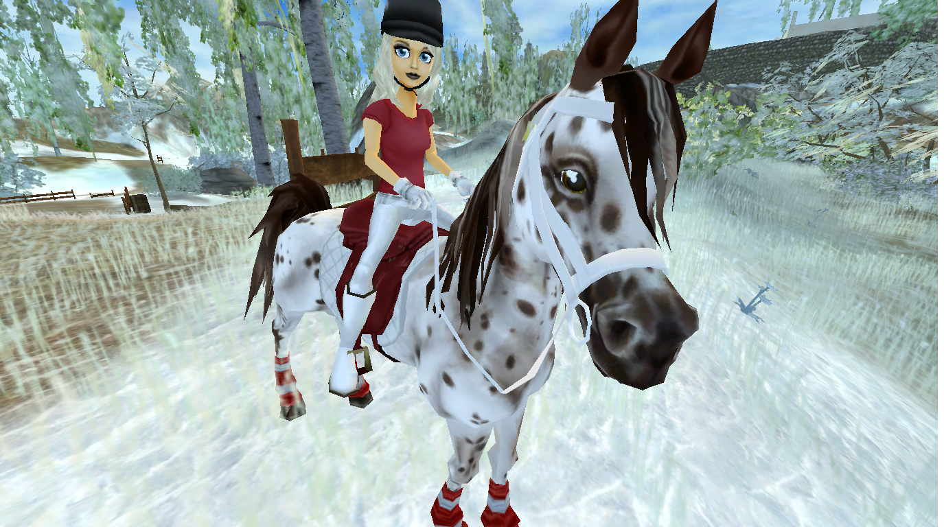 Ton Cheval Prefère Sur Sso 