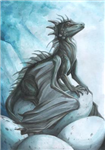 Dragon Buddies