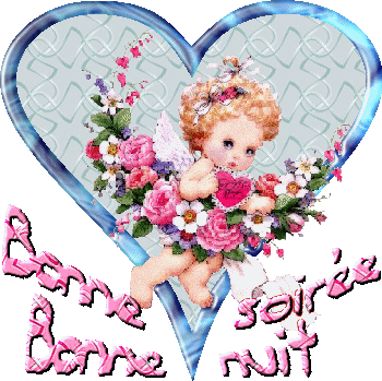 BONNE SOİRÉE   BONNE NUİT