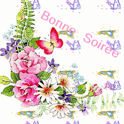 BONNE SOİRÉE